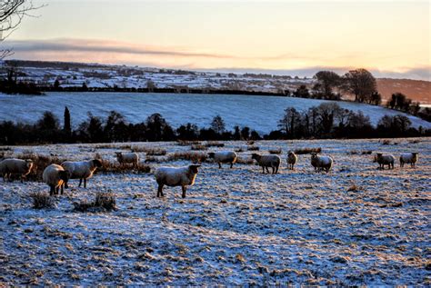 Winter In Ireland All You Need To Know Wilderness Ireland