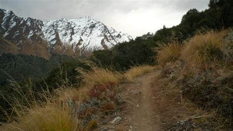 Snow Capped Peaks And Mountains Landscape In New Zealand Image Free