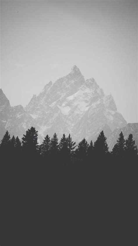 Black And White Mist Forest Mountain Iphone Wallpaper Iphoneswallpapers