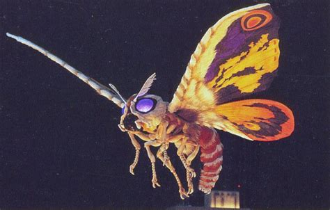 Millenium Mothra Mothrakingdom
