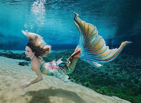 Designplusform How To Become A Professional Mermaid