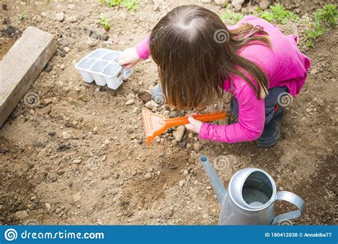 Child Girl Digging Soil For Cultivating The Garden Stock Photo Image