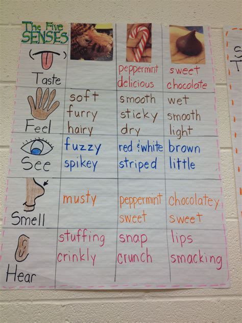 5 Senses Chart For Kindergarten