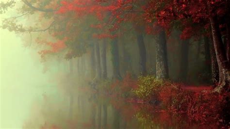 1920x1080 Nature Landscape Fall Forest Mist River Trees Red Leaves