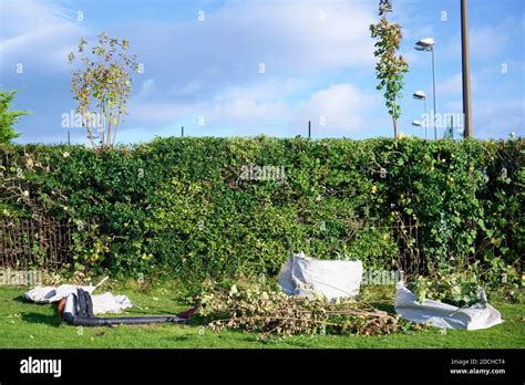 Trim Hedge Uk Garden Hi Res Stock Photography And Images Alamy