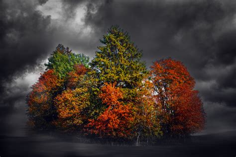 Wallpaper Fall Colorful Dark Sky Trees Clouds 1920x1280