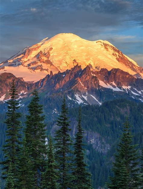 Mount Rainier At Sunrise In Mount Rainier National Park Stock Image