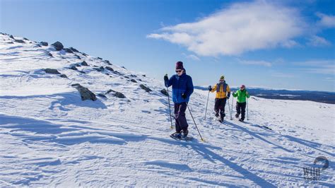 Panoramic Snowshoeing On Top Of Levi Taxari Travel Agency Lapland