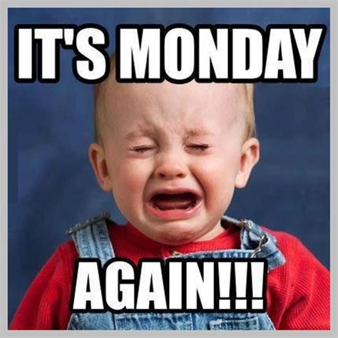 We have rounded up the best collection of funny monday memes, images, jokes which you can relate to. Monday-Funny-Work-Memes-4 - King Tumblr