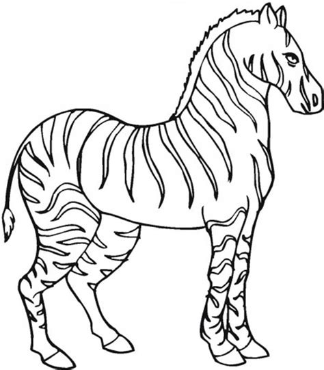 Stallion Zebra Coloring Page Download And Print Online Coloring Pages For Free Color Nimbus