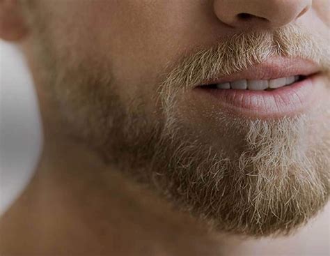 Top Beard Styles For Men Gillette