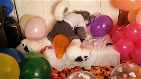 Chest And Hump Popping Lots Of Unique 16 And Qualatex 18 Balloons