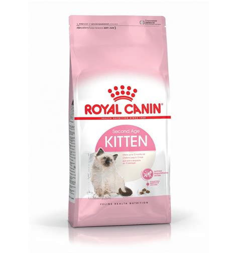 Tailored nutrients to support her developing. Royal Canin Kitten, Gato, Seco, Gatinho, Alimento/Ração