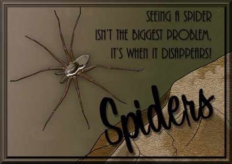 Top 30 Quotes And Sayings About Spiders