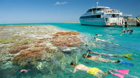 Brisbane Great Barrier Reef Tours