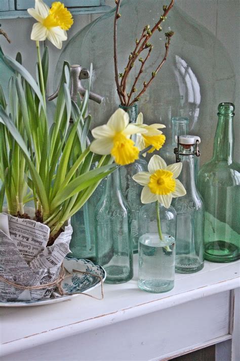 Antique Passion Daffodils Jar Art Spring Bulbs