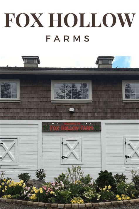 Fox Hollow Farms Seattle Hotels Travel With Kids Farm