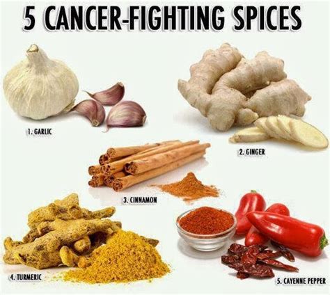 5 Herbs To Fight Cancer