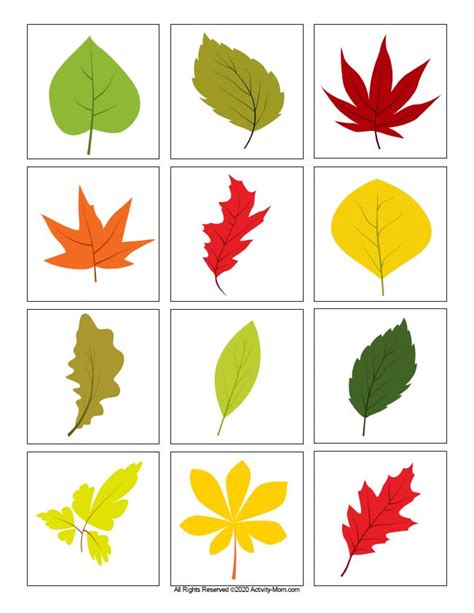 Leaf Color Matching Printable The Activity Mom