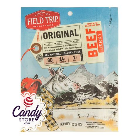 Field Trip Beef Jerky Original 22oz 9ct