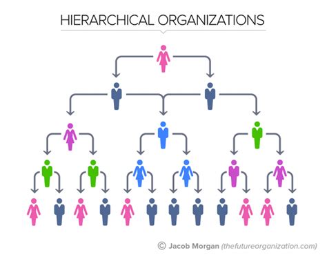 The Ultimate Guide To Hierarchy Charts With Examples Edrawmax