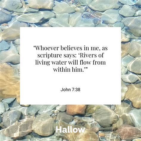 John 738 Quote Hallow