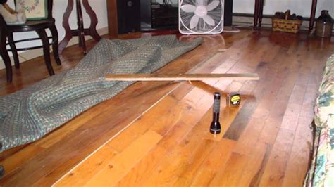 How To Fix A Buckled Wood Floor Johnny Counterfit