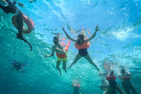Caribbean Star Snorkel Tour Isla Contoy Tours Cancun Snorkeling Trips