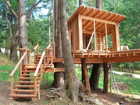 House Design Garden Other Design Simple Tree House Design Idea With Made By Finest White Maple