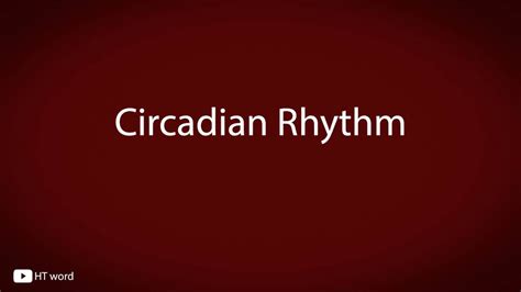 How To Pronounce Circadian Rhythm Youtube