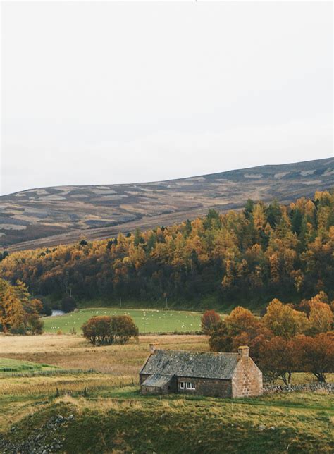 In Pictures Scotlands Cairngorms National Park In Autumn Gkm