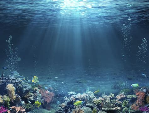 Underwater Scene Un Impresionante Póster De Photowall