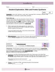 Dna and protein synthesis study g. Introduction Inside a ribosome amino acids are linked ...