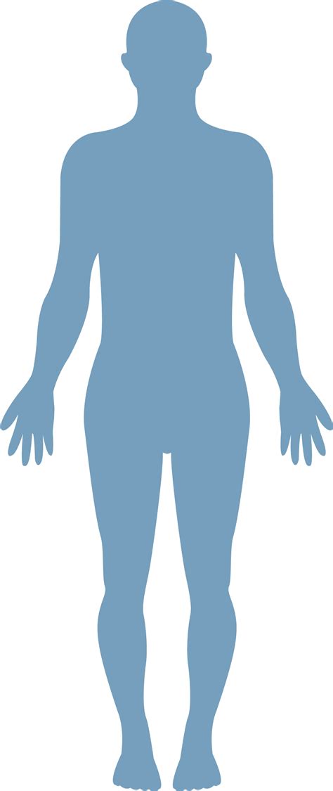 Png Human Body Outline Transparent Human Body Outlinepng Images Pluspng