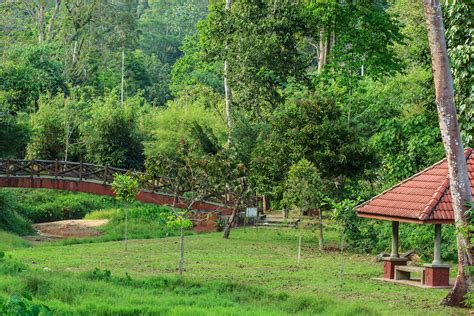 The malaysian island of penang is one of my favorite travel destinations. Penang Botanic Gardens - One of the Top Attractions in ...