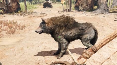 Far Cry Primal How To Revive Your Pet