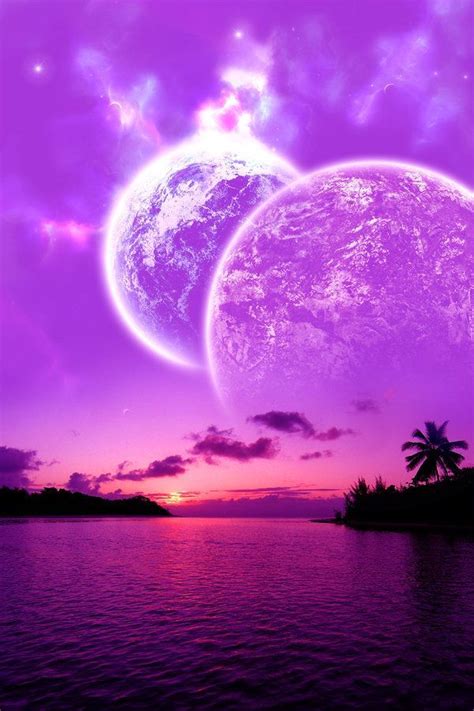 Ocean Purple Sunset Dolphin Beautiful Cosmic Sunset