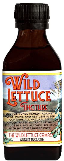 The Wild Lettuce Company Wild Lettuce Products