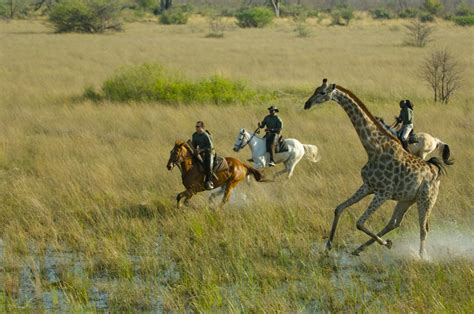 Horseback Safaris In Botswana Adventure Africa International