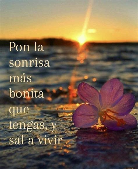 Pin de Estela Cano en Fe | Frases bonitas de motivacion, Frases bonitas