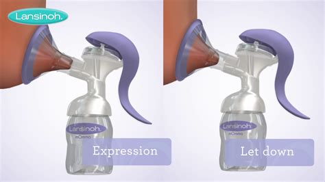 Lansinoh Manual Breast Pump How To Use Youtube