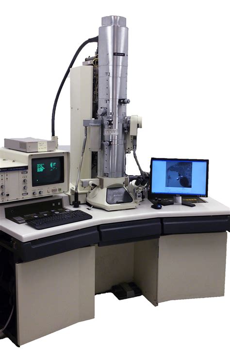 Transmission Electron Microscopy Tem Faculty Of Medicine