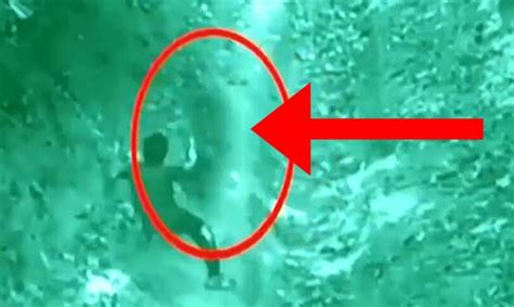 Watch mountain lion relax near colorado waterfall. Demons Caught On Camera ? ghost caught on camera compilation