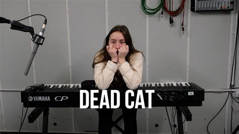 Dead Cat Youtube