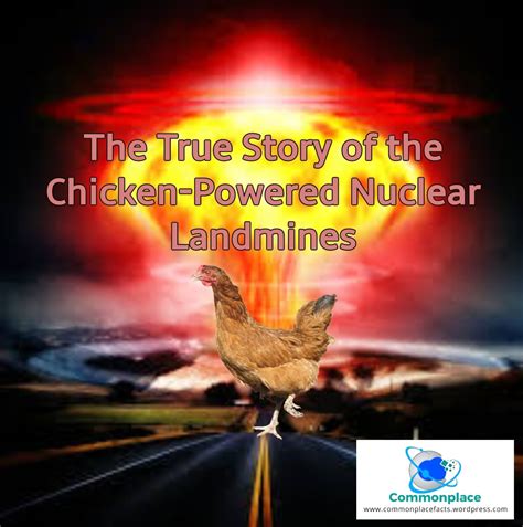 The True Story Of Chicken Powered Nuclear Landmines Commonplace Fun Facts