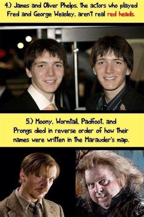 Harry Potter Fun Facts 👆💫 Musely