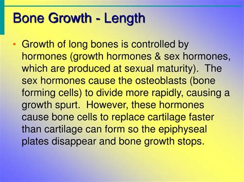 Ppt Bone Formation Growth And Maintenance Powerpoint Presentation