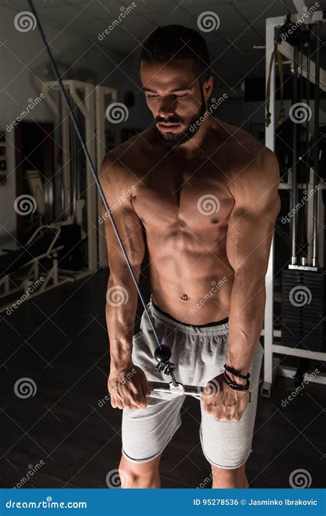 Exercising Triceps Di Modello Muscolare Fotografia Stock Immagine Di Modello Lifestyle