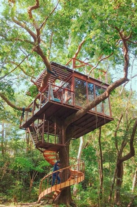 Home Design Ideas Make Sure To Create The Most Creative 29 Tree House