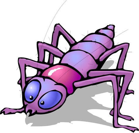Cartoon Pictures Of Insects
